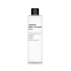 캐리오피 약산성 스마트 클렌징 워터, 300ml, 1개