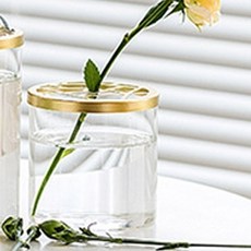 MORIANN 日式插花花瓶, 透明