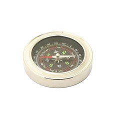 藍色貝殼米色指南針, 1個
