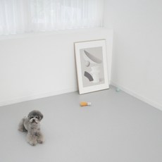 티지오매트 우다다 강아지매트 PVC, 모던그레이, 1개