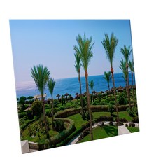 HTTP 裝飾地磚, C2410 埃及的棕櫚樹, 1個