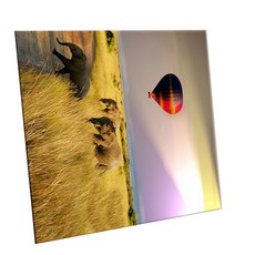 HTTP 裝飾地磚, C2491 坦尚尼亞疏林草原風景, 1個