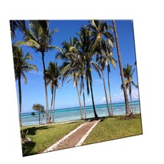 HTTP 裝飾地磚, C2477 尚吉巴的棕櫚樹, 1個