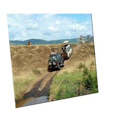 HTTP 裝飾地磚, C2476 野生動物園的越野路, 1個