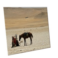 HTTP 裝飾地磚, C2425 埃及神殿的少年與駱駝, 1個