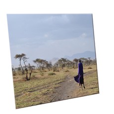 HTTP 裝飾地磚, C2493 田野中的馬賽人樣貌, 1個