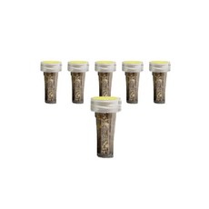 Tea-Up 瓶蓋裝蒲公英草本茶 6入裝, 1組