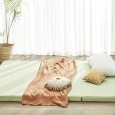 한샘 휴 그린티 메모리폼 3단 접이식 토퍼, 그린, 7cm