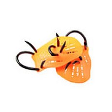 Ariaz游泳水耙子, 橘子