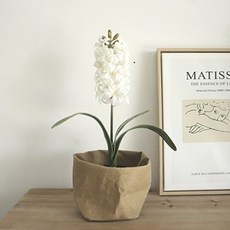 室內風信子假花花盆