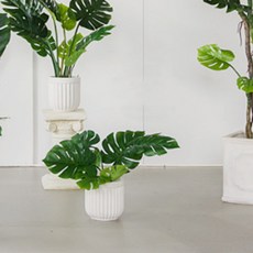 Jardind Eden Monstera 人造樹 80cm, 單色, 1個