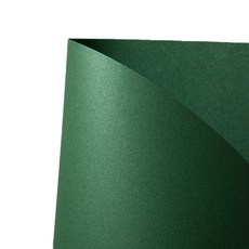 Dusung Paper提拉米蘇肯特紙 A4 120g 10張 12 深綠色珍珠, 20個