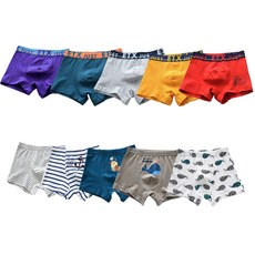 SCHWARZ KOREA 男童內褲套裝 5 種顏色 + 海豚朋友 5 件