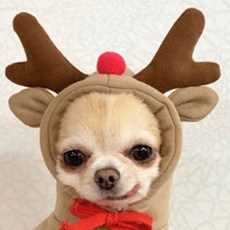 Monspet 小狗 cosplay 連帽衫, 魯道夫