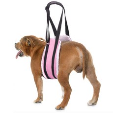 寵物襯裡腰部髕骨保護帶, 粉色的, 1個