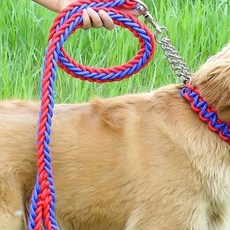 샵포에버 테이키 강아지 목줄세트 XL D81, I, 1세트