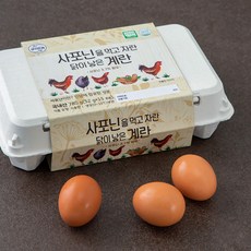 양지뜨레 무항생제 인증 사포닌을 먹고 자란 닭이 낳은 계란 15구, 780g, 1개