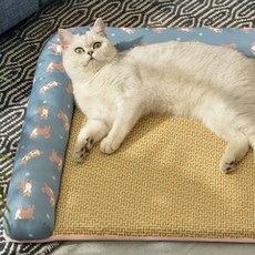 반려동물 아이스 여름 쿨 매트, 블루, 1개