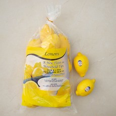 AGRICOM 수일통상 칠레 레몬, 1.8kg, 1개