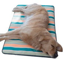 모모 대형견용 쿨 매트, 오렌지 + 그린, 1개