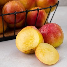 새벽경매 새콤달콤 자두 점보, 2kg, 1팩