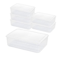 YOUNGGREEN 透明瀝水魚肉蔬菜多用途密封保鮮盒 大, 1入