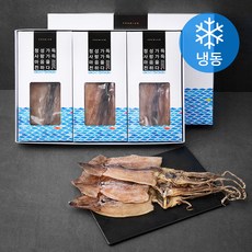 동명상회 동해안 마른오징어 선물세트 (냉동), 500g(10마리), 1세트