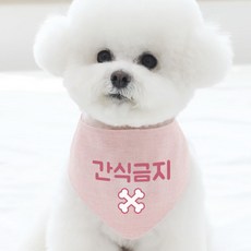 리토가토 강아지 스카프 S, 간식금지 핑크, 1개