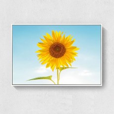 Make Me 向日葵風景畫 C, 白色