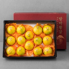 탐라황감 황금향 12~18입 선물세트, 4.5kg, 1개