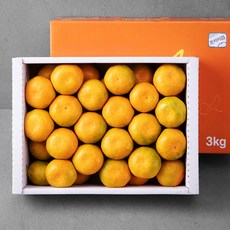 귤로장생 GAP 인증 당도선별 하우스감귤 선물세트, 3kg, 1개