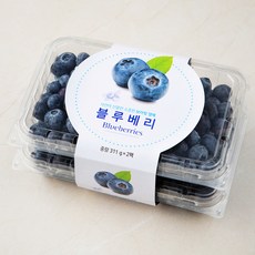 미국 블루베리, 311g, 2개