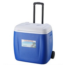 마음이음마켓 휴대용 아이스박스 49 x 45 x 51 cm, 블루, 55L