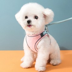 Market A 優質寵物胸背帶 + 牽繩套組, 粉紅天空, 1套