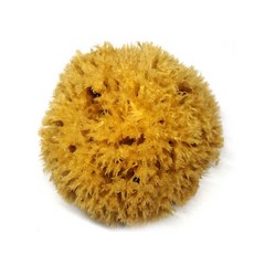 Santorice海綿蜂窩 大, 單色, 1個