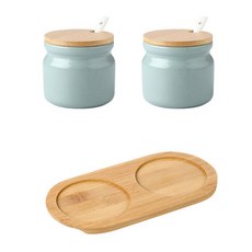 에프엘 북유럽풍 양념통 300ml x 2p + 받침 세트 민트, 1세트