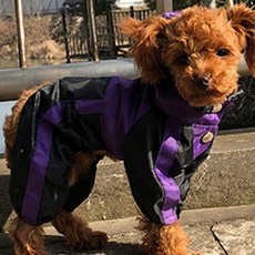 Kiwodo 寵物雨衣 DRC-005, 紫色