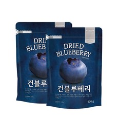 리치팜너트 건블루베리, 400g, 2개