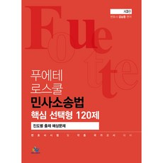 푸에테로스쿨 민사소송법 핵심 선택형 120제: 진도별 출제 예상문제:변호사시험 및 각종 국가고시 대비, 윌비스