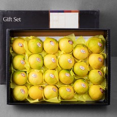귤림원 당도선별 황금향 선물세트, 5kg(20~26입), 1개