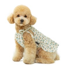 PETSLAND 寵物雛菊繞頸連身裙, 藍色