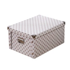 Teiki收納箱 5XL S20, F, 1個