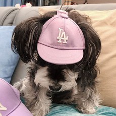 潛水佳小狗球帽, 紫色的