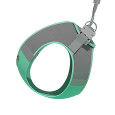 Carno 卡諾 韓國 狗狗馬卡龍網眼胸背帶 + 牽繩套組 S, 綠色