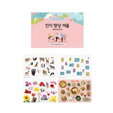 SAESAEM 認知提升板益智專注提升版, 1個