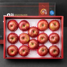 강원도 양구 사과 선물세트, 5kg(14~16과), 1개
