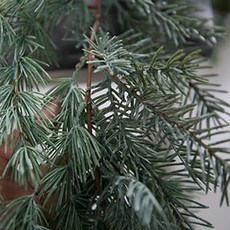 瑪西萬壽菊聖誕無裝飾松果混合花環, 白綠色, 1個