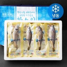 한림수협 굴비세트 1호 굴비 20미 (냉동), 1세트
