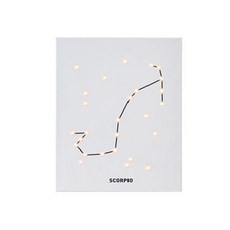 스칸디팝 별자리 시리즈 DIY 캔버스조명, 전갈자리, 1개