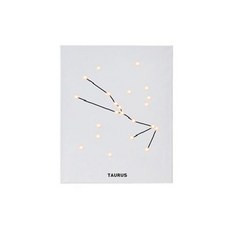 스칸디팝 별자리 시리즈 DIY 캔버스조명, 황소자리, 1개